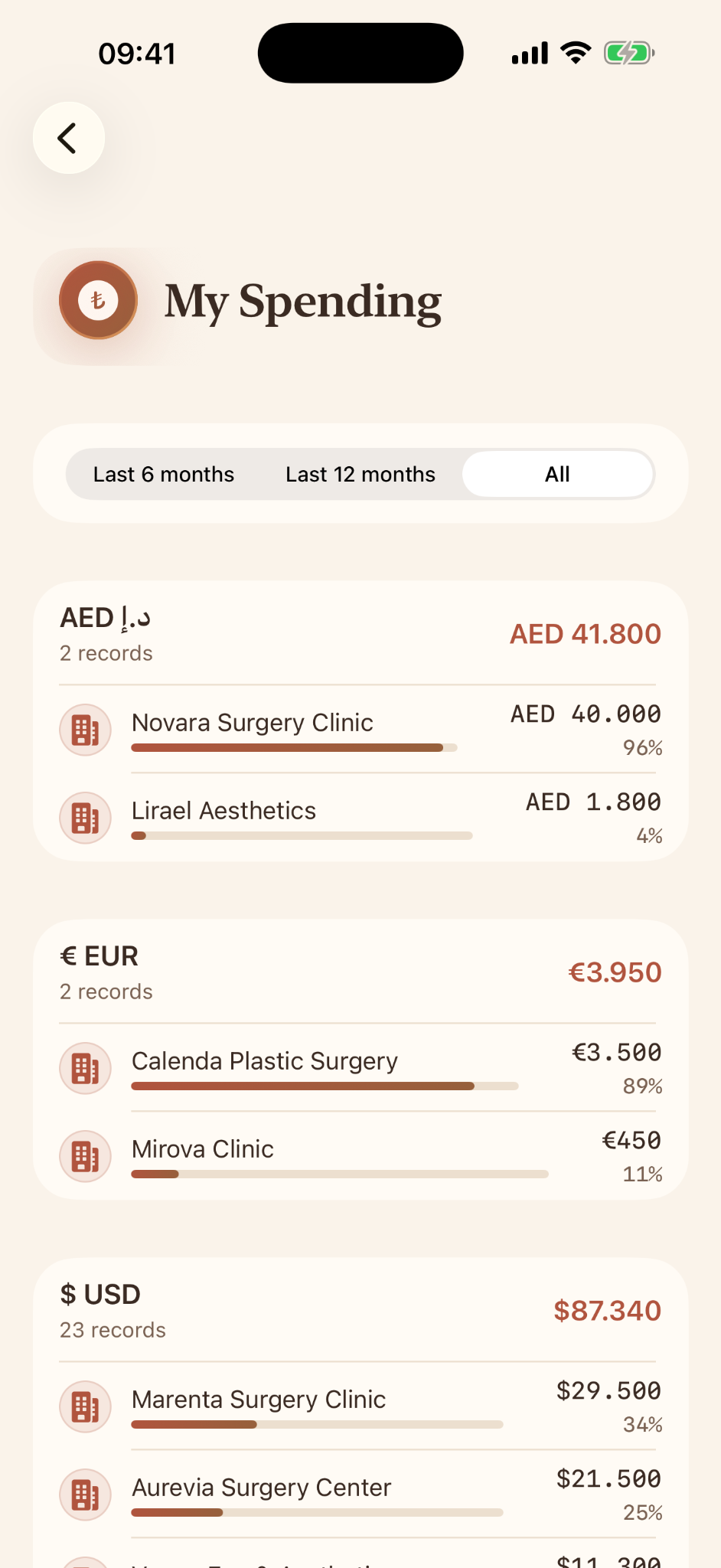 Ruyana spending overview grouped by currency and clinic